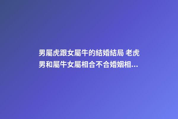 男屬虎跟女屬牛的結婚結局 老虎男和屬牛女屬相合不合婚姻相配嗎